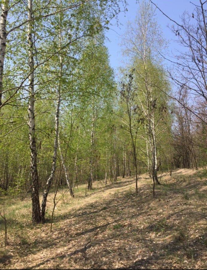 Дом Для Отдыха В Лесу Rzhyshchiv 外观 照片